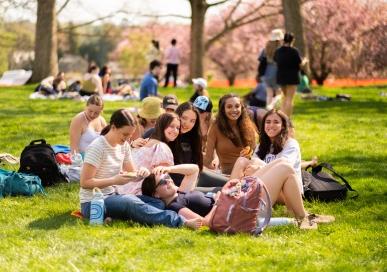 students enjoying the sunny weather on Merion Green